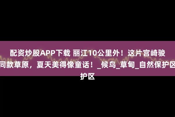 配资炒股APP下载 丽江10公里外!这片宫崎骏同款草原,夏天美得像童话!_候鸟_草甸_自然保护区