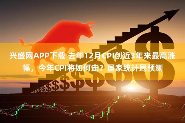 兴盛网APP下载 去年12月CPI创近3年来最高涨幅，今年CPI将如何走？国家统计局预测