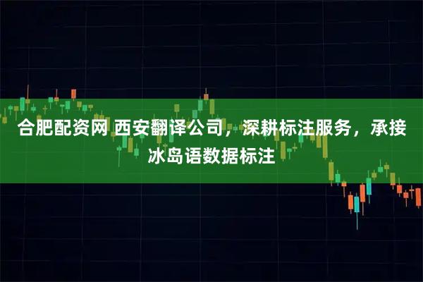 合肥配资网 西安翻译公司，深耕标注服务，承接冰岛语数据标注